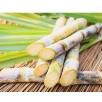 resources of sugarcane exporters