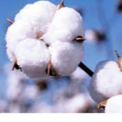resources of cotton exporters