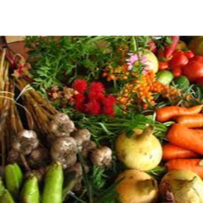 resources of organic farming products exporters