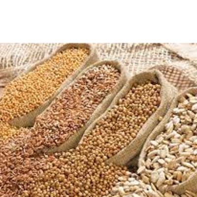 resources of oil seed exporters