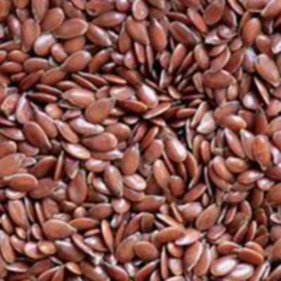 resources of Flaxeed/Linseed exporters