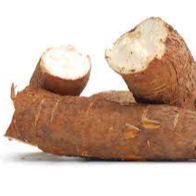 resources of Cassava exporters