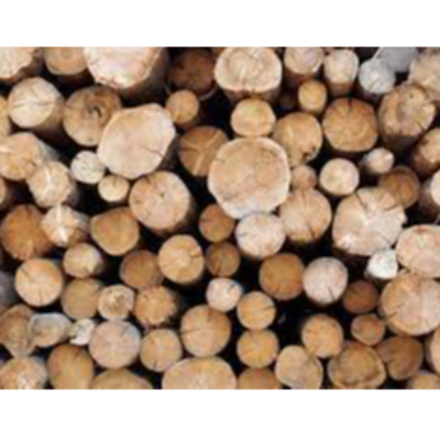 resources of timber exporters