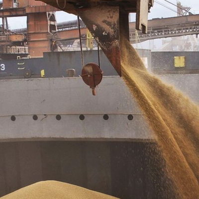 resources of Feed barley, protein 7.2% (FOB Novorossiysk of CIF any port of the world) exporters