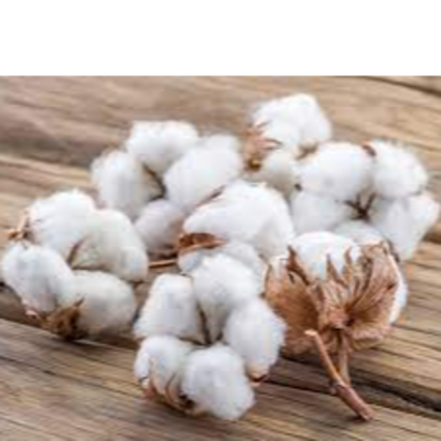 resources of COTTON exporters