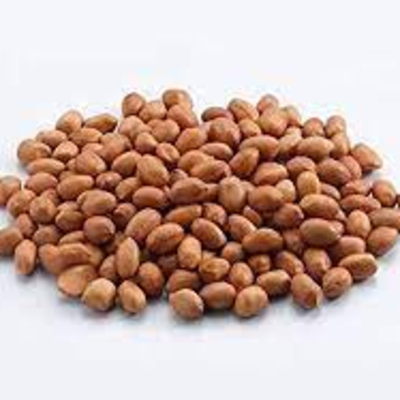 resources of PEANUTS exporters