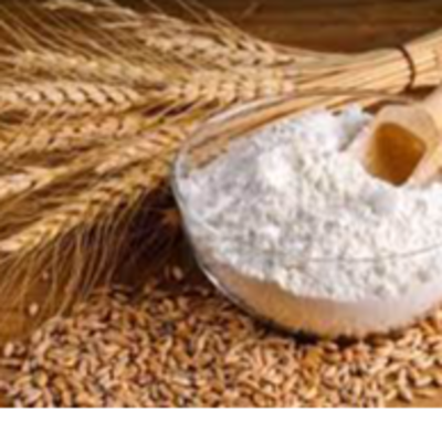 resources of Wheat flour exporters