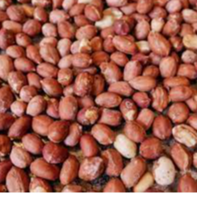 resources of Peanuts exporters