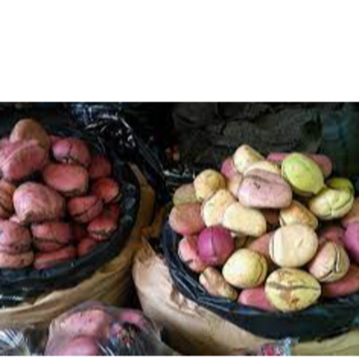 resources of Kola nut exporters
