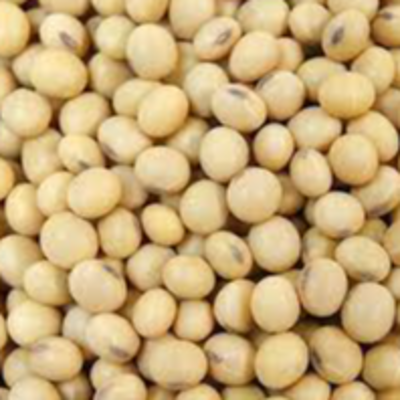 resources of Soybean exporters
