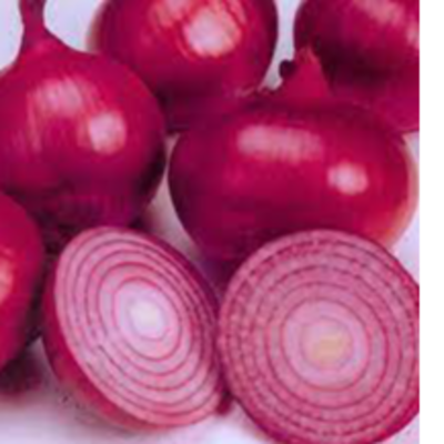 resources of red onion exporters