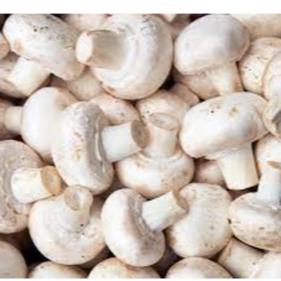 resources of Mushroom exporters