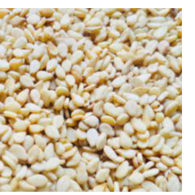 resources of Sesame Seed exporters
