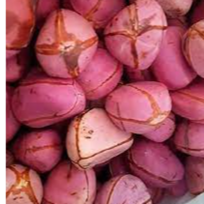 resources of Kola nuts exporters