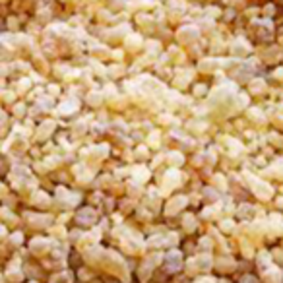 resources of Frankincense-Myrrh - Maydii exporters