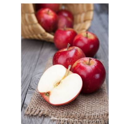 resources of apple exporters