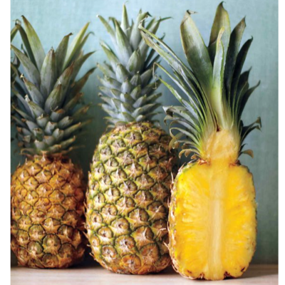 resources of pinapple exporters