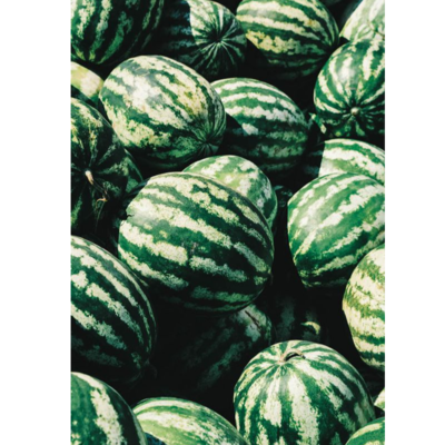 resources of watermelon exporters
