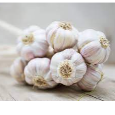 resources of Garlic exporters