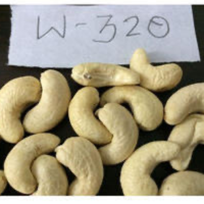 resources of Qaulity dried cashew nuts exporters