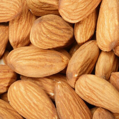 resources of High quality raw almond nuts exporters