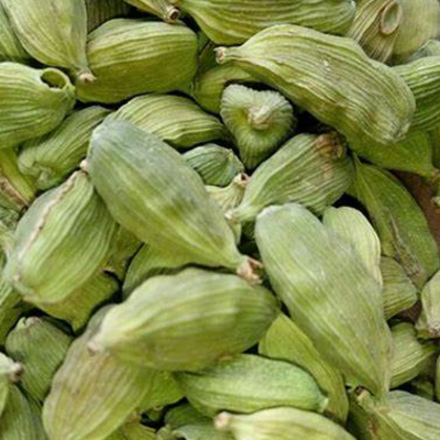 resources of Grade A green cardamom nut exporters