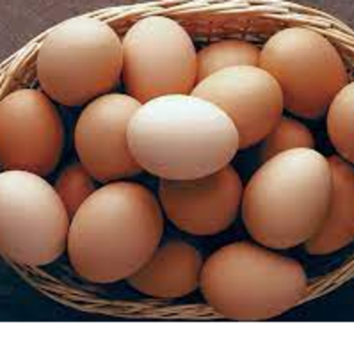 eggs Exporters, Wholesaler & Manufacturer | Globaltradeplaza.com