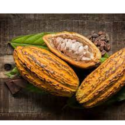 Cocoa Exporters, Wholesaler & Manufacturer | Globaltradeplaza.com