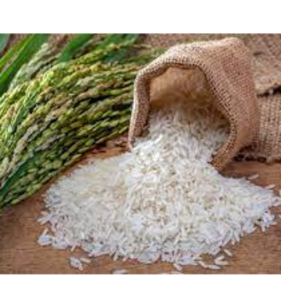 resources of basmati non basmati rice exporters