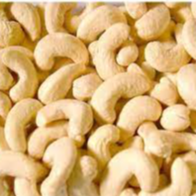 resources of cashew kennels exporters