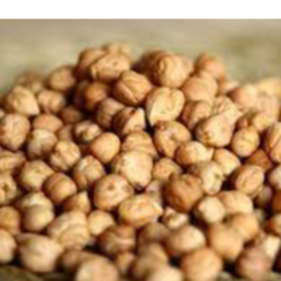 resources of chick peas exporters