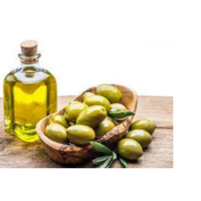 resources of Olive oil exporters