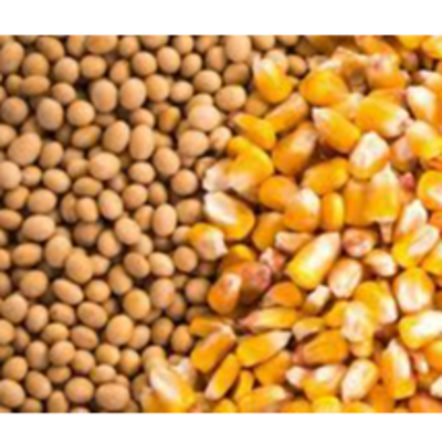 resources of Soy and corn exporters