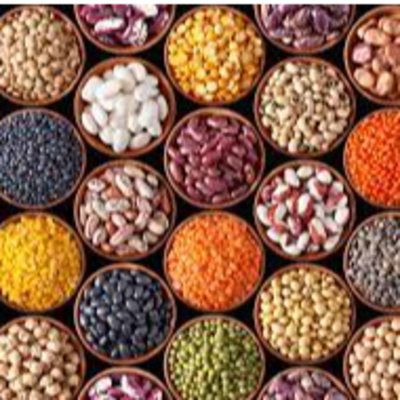 resources of Pulses exporters