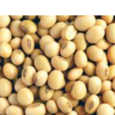 resources of Soya exporters
