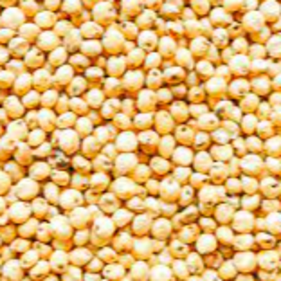 resources of Sorghum exporters