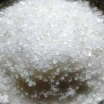 Cane Sugar White Exporters, Wholesaler & Manufacturer | Globaltradeplaza.com