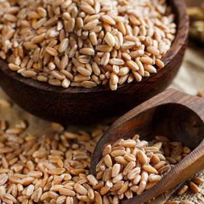 resources of Where To Buy Wheat Grains Wholesale Europe exporters