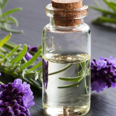 resources of Lavender Oil exporters