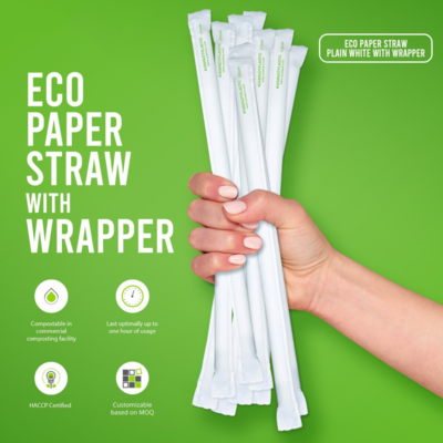resources of Paper Straw Biodegradable exporters