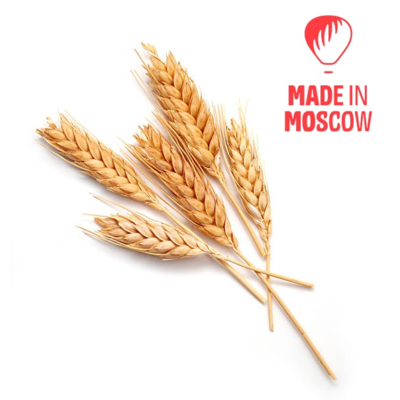 resources of Winter wheat (3-4 grade) exporters