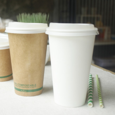 resources of Bio Paper Cup Eco Friendly Biodegradable exporters