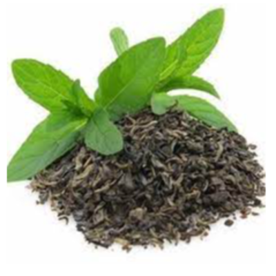 resources of Green Tea Leaves exporters