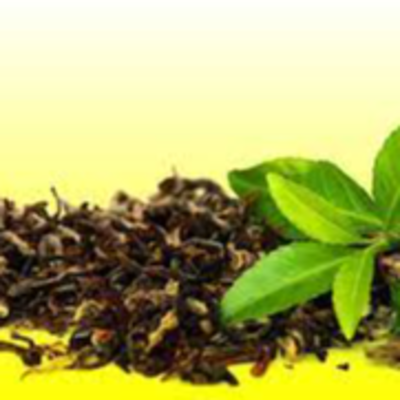 resources of Nilgiri Tea Powder exporters