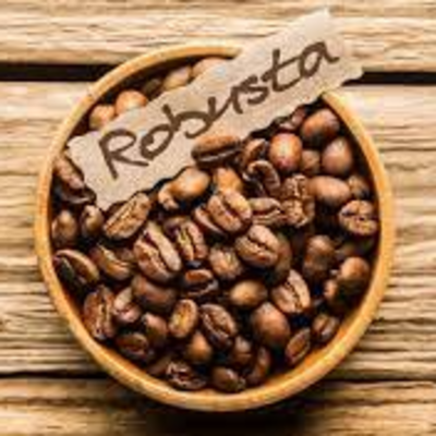 resources of Robusta Coffee Beans exporters