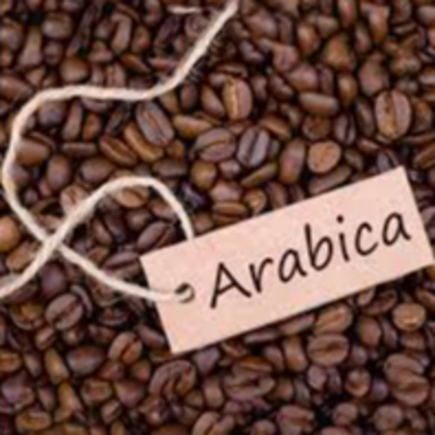 resources of Arabica Coffee Bean exporters