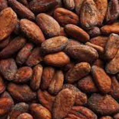 resources of Cocoa exporters