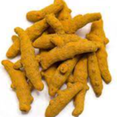 resources of Dried Tumeric/ Fresh exporters
