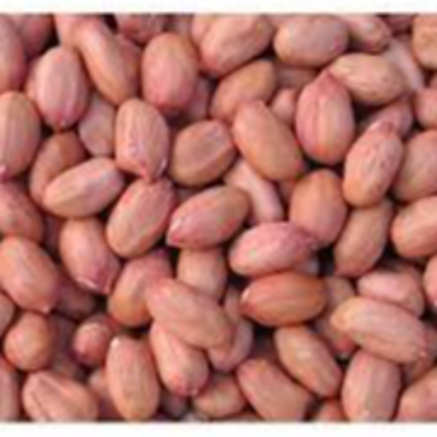 resources of Ground Nuts exporters