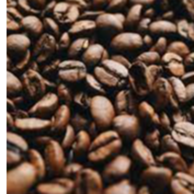 resources of Robusta Coffee exporters